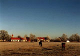 Pferdepension